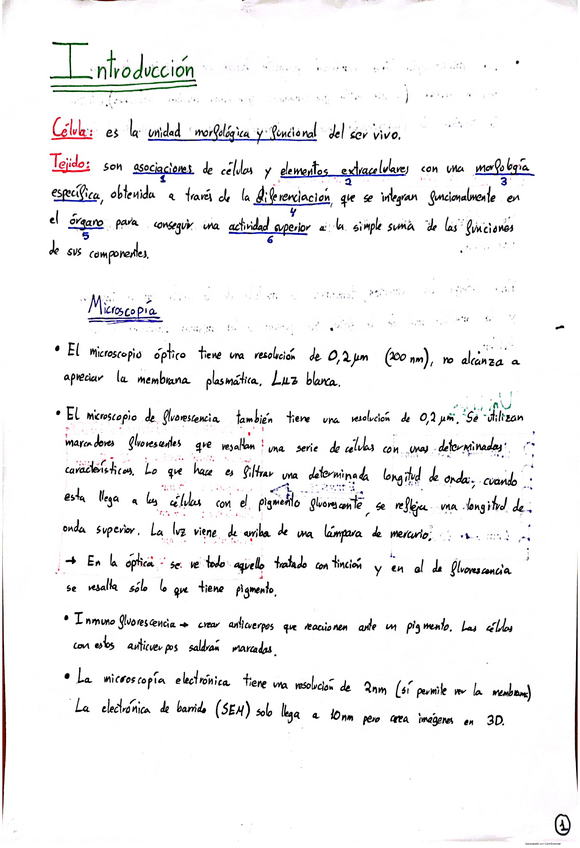 Miniatura del documento Histologia-Vegetal.pdf