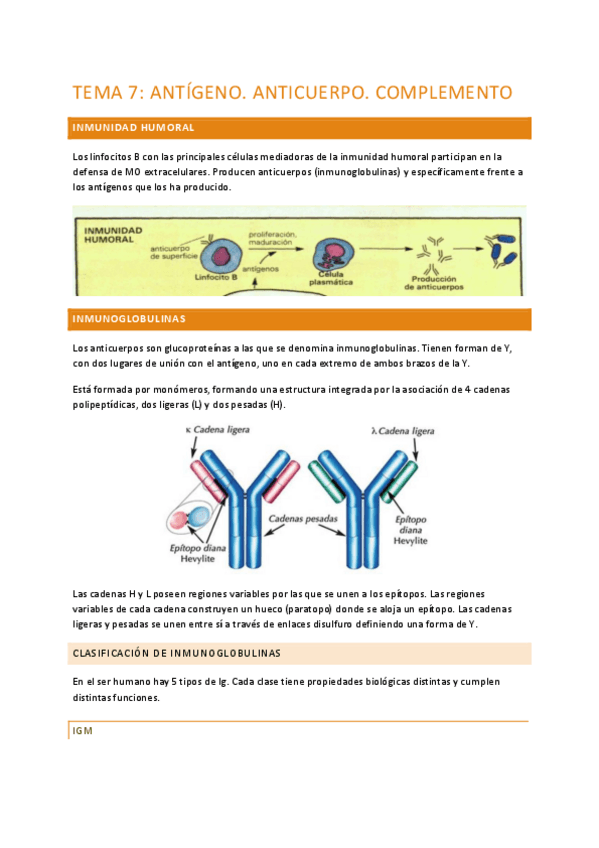 Miniatura del documento TEMA-7-MICRO.pdf