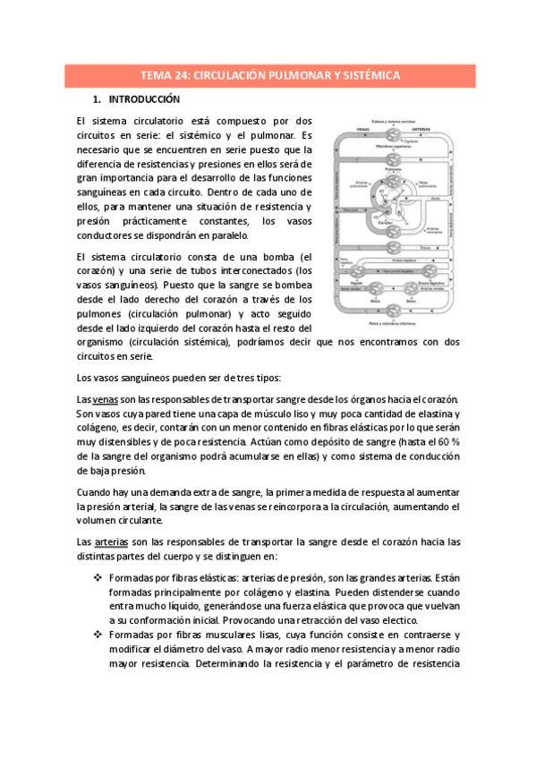 Miniatura del documento TEMA-24.pdf