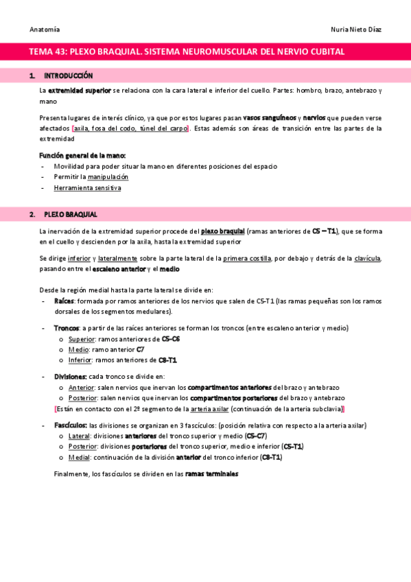 Miniatura del documento TEMA-43-Plexo-braquial.pdf