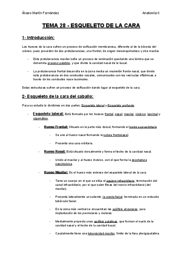 Miniatura del documento TEMA-28-ESQUELETO-DE-LA-CARA.pdf