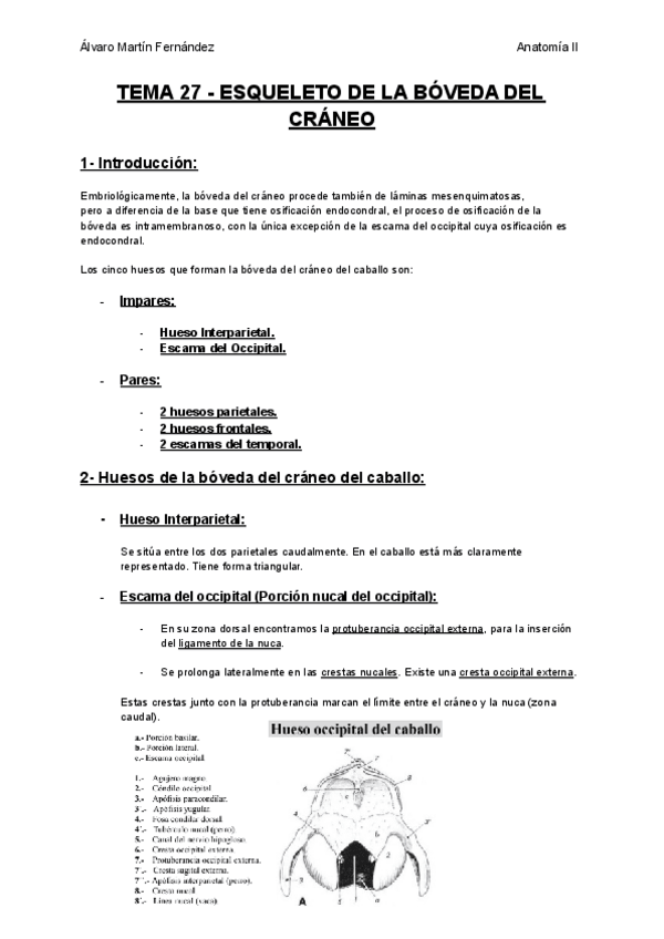 Miniatura del documento TEMA-27-ESQUELETO-DE-LA-BOVEDA-DEL-CRANEO.pdf