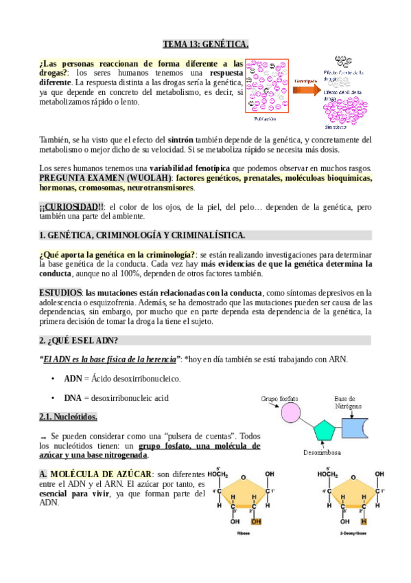 Miniatura del documento Tema-13.pdf