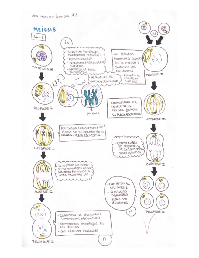 Miniatura del documento INTERFASE.pdf