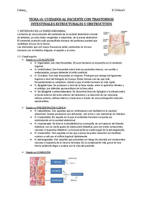 Miniatura del documento TEMA-19-CUIDADOS-AL-PACIENTE-CON-TRASTORNOS-INTESTINALES-ESTRUCTURALES-U-OBSTRUCTIVOS.pdf
