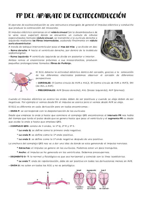 Miniatura del documento T.13- Fp aparato excitoconducción
