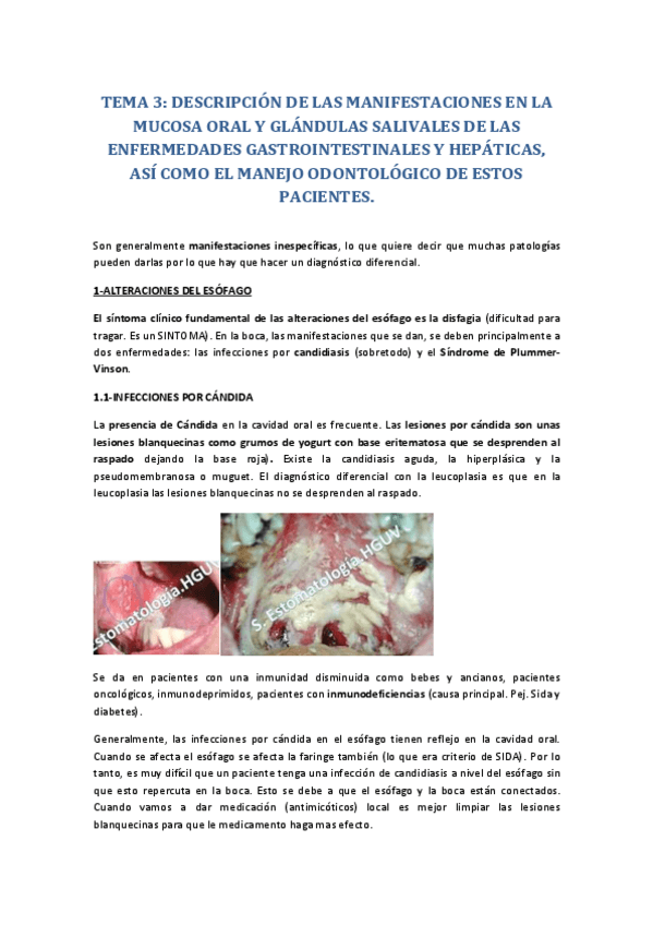 Miniatura del documento TEMA-3-MOES.pdf