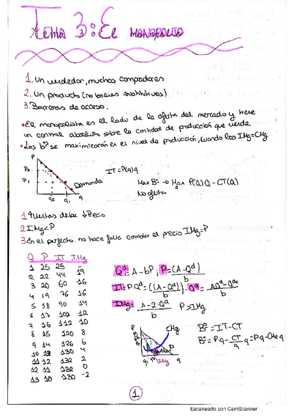 Miniatura del documento Tema-3-microeconomia.pdf