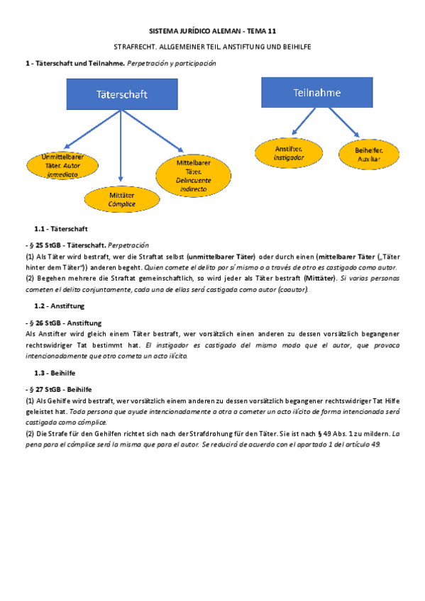 Miniatura del documento Tema-11-Strafrecht.pdf