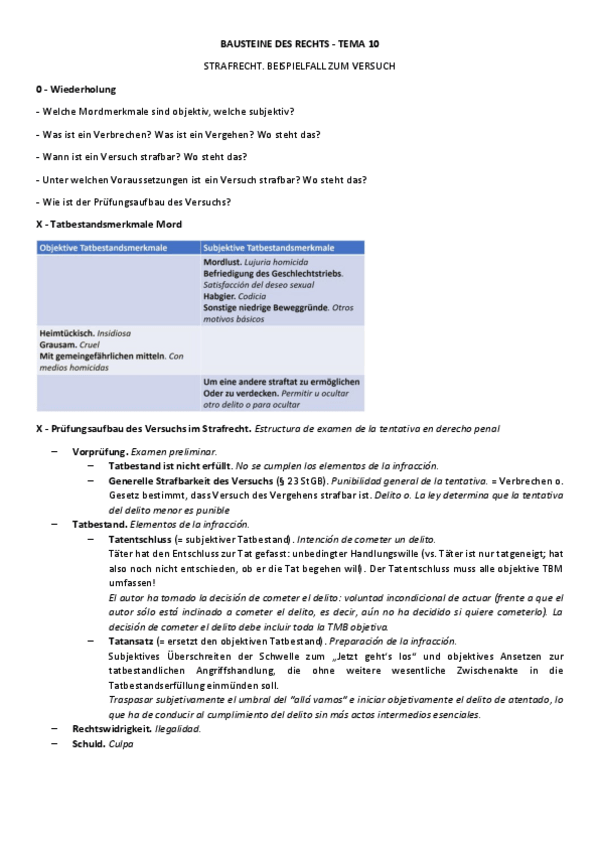 Miniatura del documento Tema-10-Strafrecht.pdf