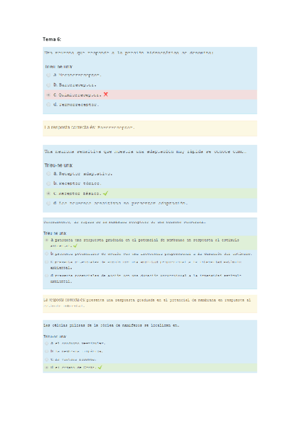 Miniatura del documento Cuestionario-T6.pdf