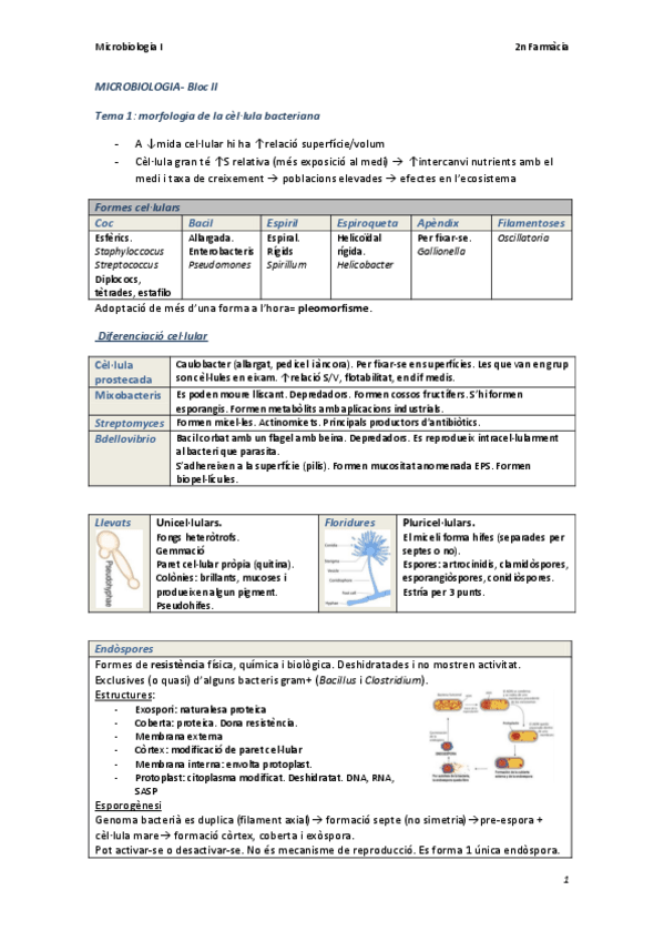 Miniatura del documento microooo.pdf