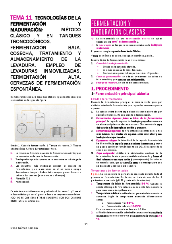 Miniatura del documento TEBA-T11.pdf