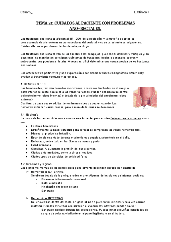 Miniatura del documento TEMA-21-CUIDADOS-AL-PACIENTE-CON-PROBLEMAS-ANO-RECTALES.pdf