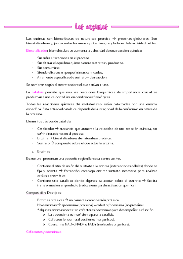 Miniatura del documento Las-enzimas.pdf