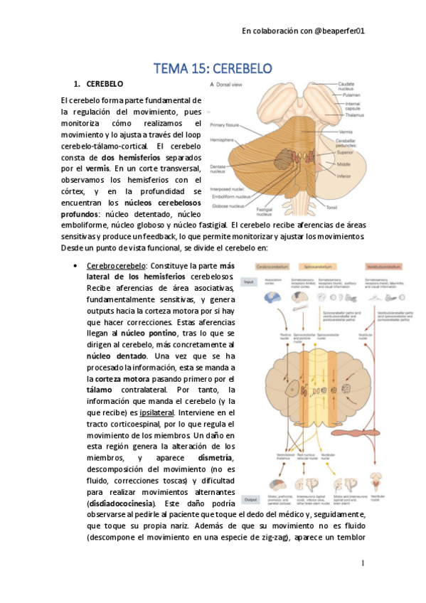 Miniatura del documento TEMA-15.pdf