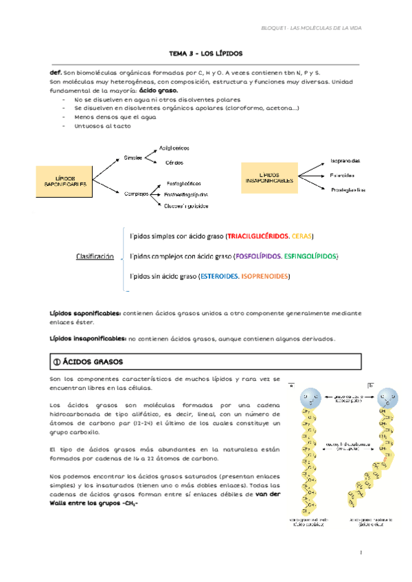 Miniatura del documento TEMA-3-LOS-LIPIDOS.pdf