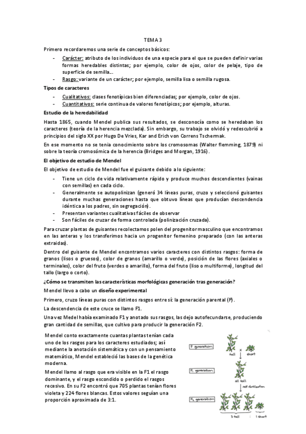 Miniatura del documento TEMA-3-HERENCIA-DE-CARACTERES-NUCLEARES.pdf