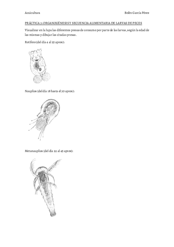 Miniatura del documento Informe-Practica-3-Belen-Garcia-Perez.pdf