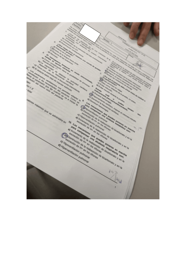 Miniatura del documento examen-criticos.pdf