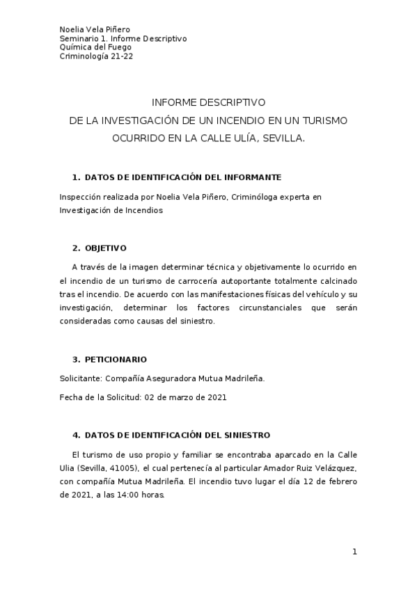 Miniatura del documento Informe-Descriptivo.docx