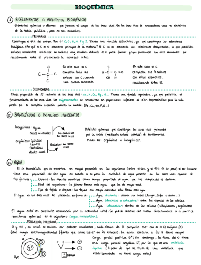 Miniatura del documento Bioelementos.pdf