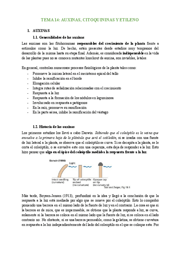 Miniatura del documento Tema-14-Auxinas-citoquininas-y-etileno.pdf