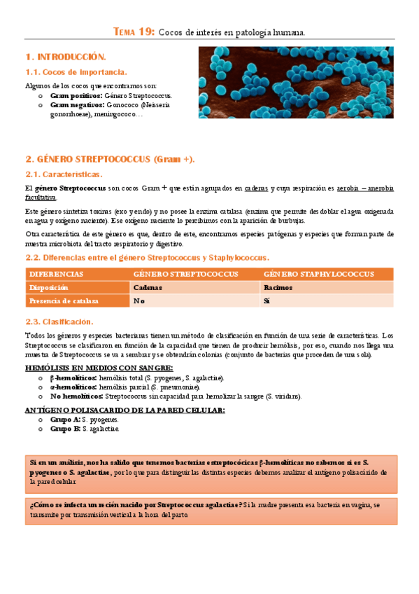 Miniatura del documento TEMA-19.pdf