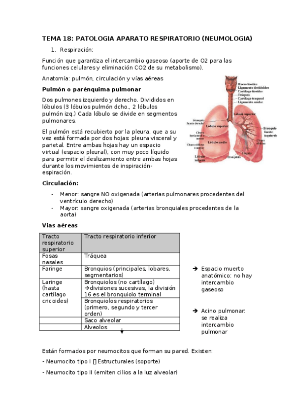 Miniatura del documento MEDICA-MG-Y-LAB-2EXAMEN.docx