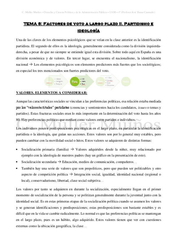 Miniatura del documento TEMA-8-Factores-de-voto-a-largo-plazo.pdf