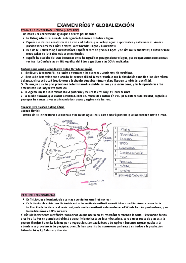Miniatura del documento RIOS-Y-GLOBALIZACION.pdf