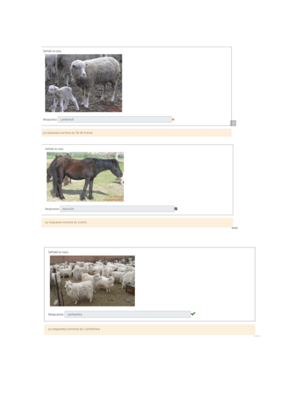 Miniatura del documento ovejas.pdf