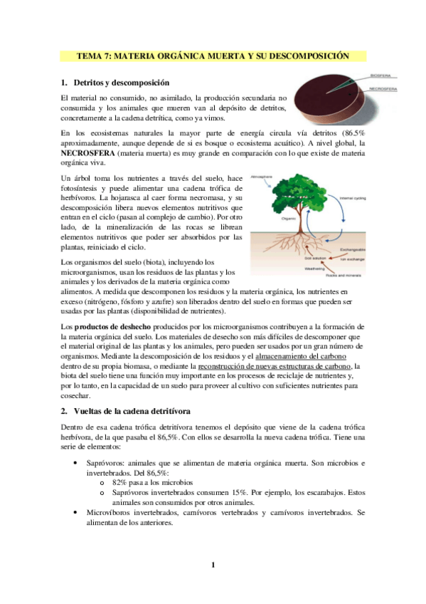 Miniatura del documento TEMA-7-MATERIA-ORGANICA-MUERTA-Y-SU-DESCOMPOSICION.pdf