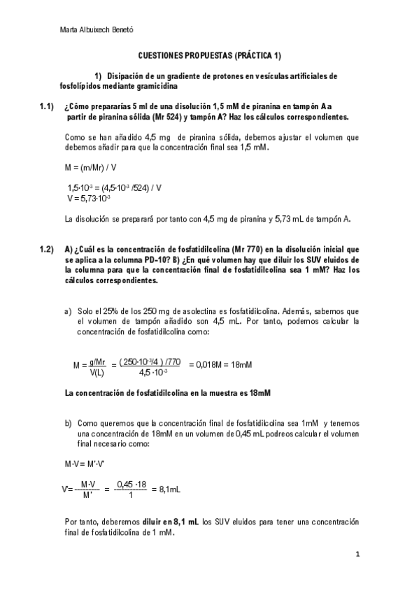 Miniatura del documento memoria-Lab.pdf