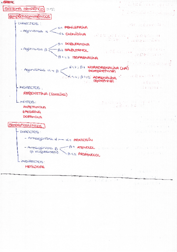 Miniatura del documento Esquema básico fármacos.pdf