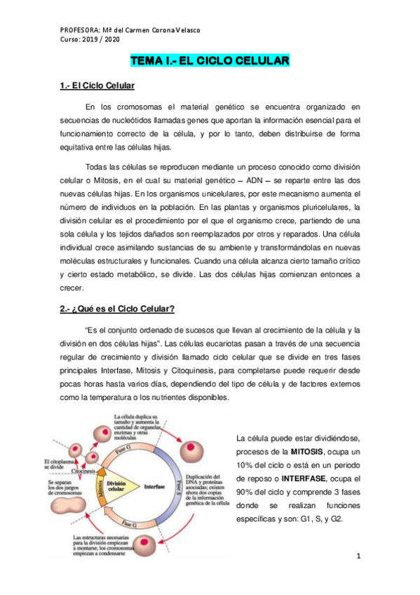 Miniatura del documento APUNTES-DE-GENETICA.pdf