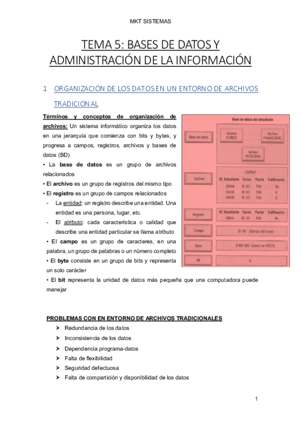 Miniatura del documento TEMA-5-MKT-SISTEMAS.pdf