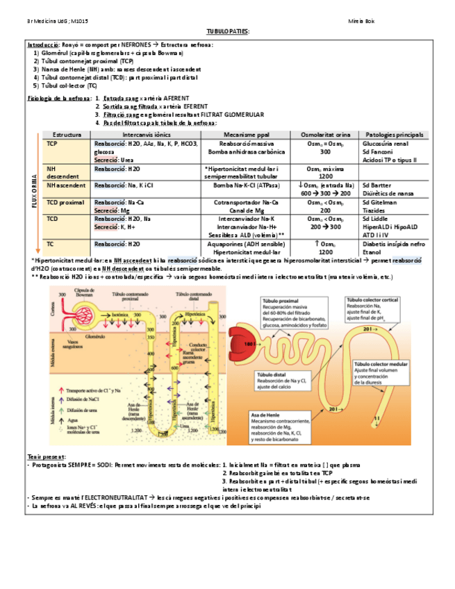 Miniatura del documento TUBULOPATIES.pdf