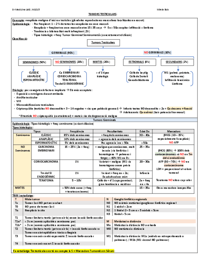 Miniatura del documento ONCOLOGIA-TESTICLES.pdf