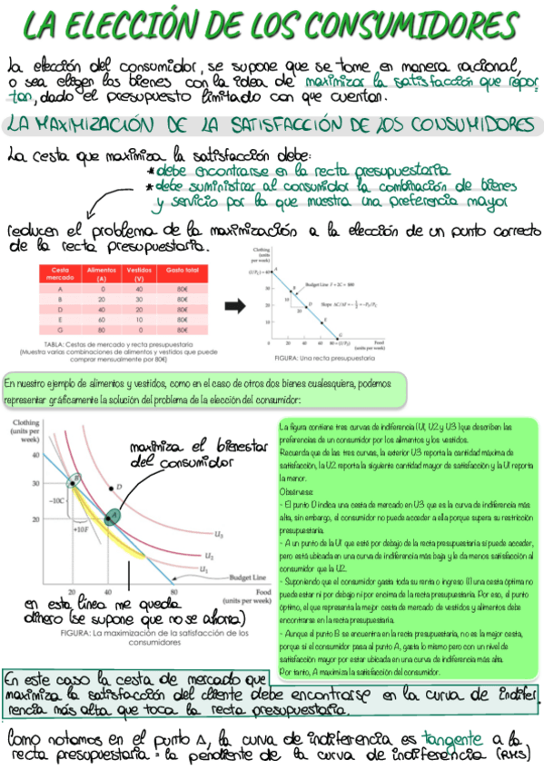 Miniatura del documento Comportamiento-del-consumidor-y-de-la-empresa-11-13.pdf