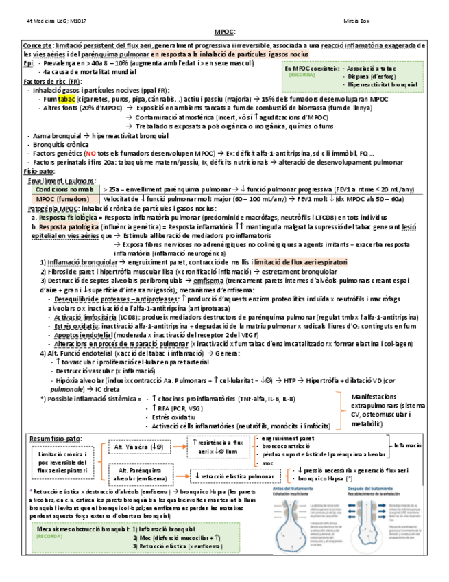 Miniatura del documento MPOC.pdf