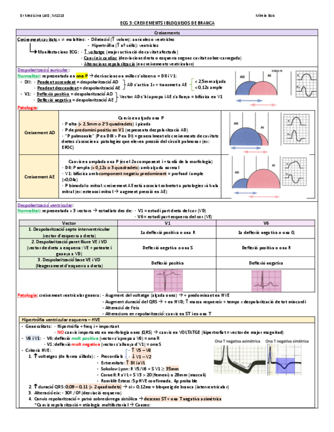 Miniatura del documento ECG3-def.pdf