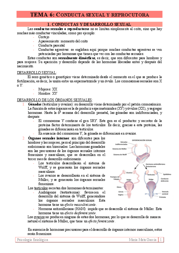 Miniatura del documento TEMA-6.pdf