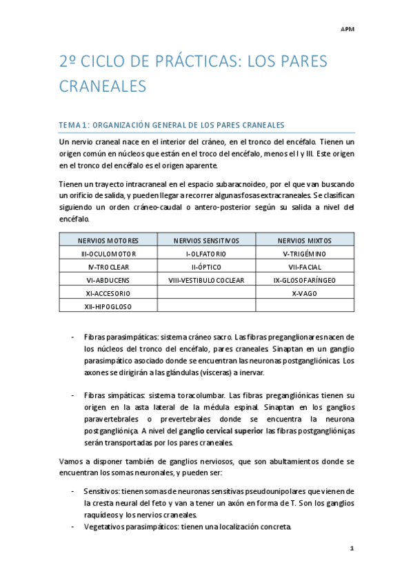 Miniatura del documento CICLO-2-ANATO.pdf