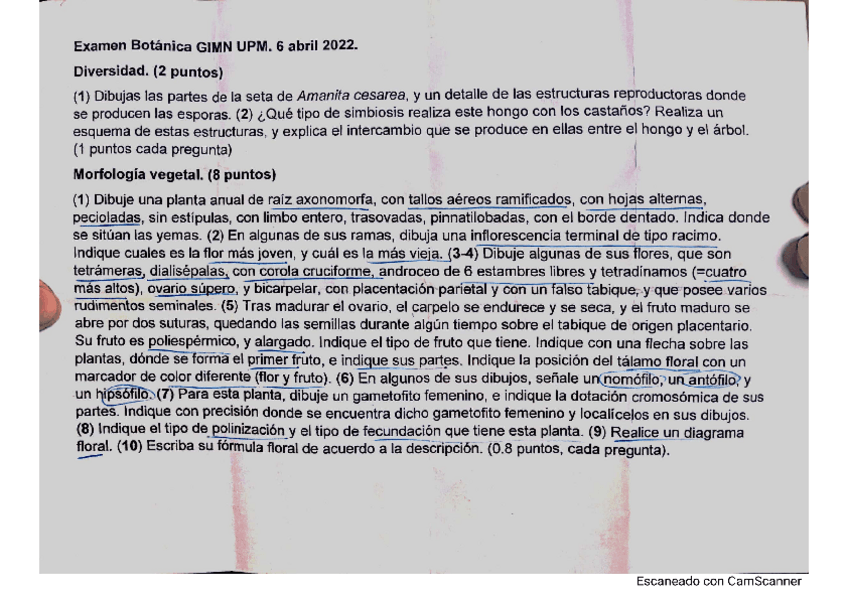 Miniatura del documento examen-botanica-gimn.pdf