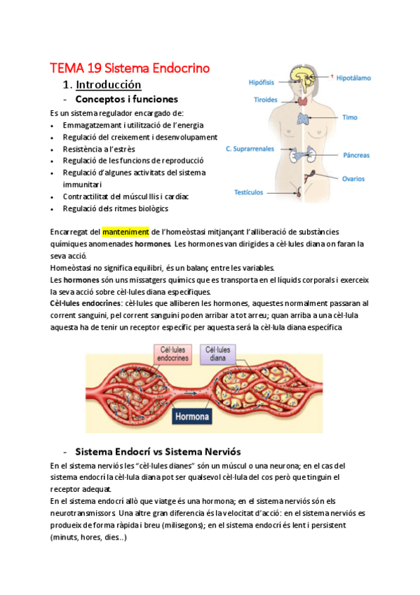 Miniatura del documento APUNT-FISIO-PART-2.pdf