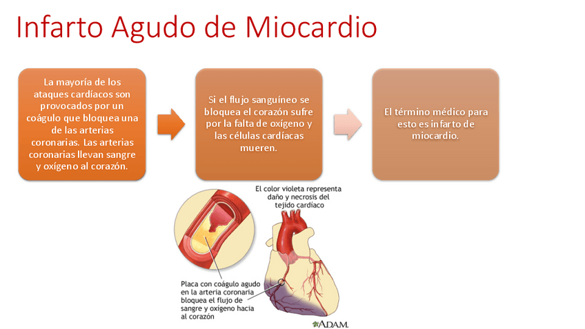 Miniatura del documento Presentacion1.pdf