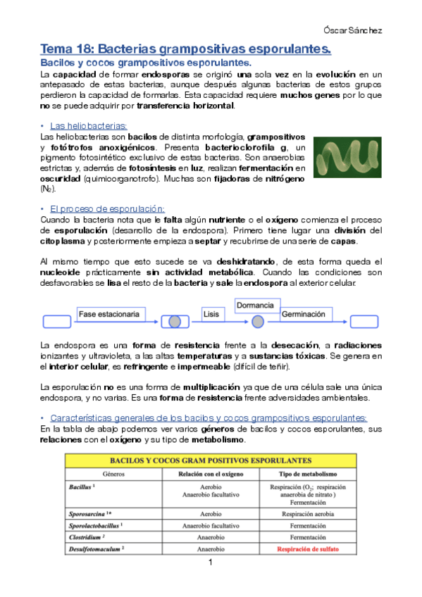 Miniatura del documento Tema-18-Micro-II.pdf