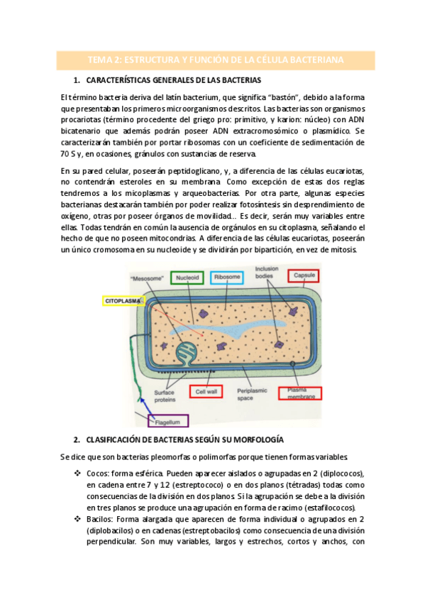 Miniatura del documento TEMA-2.pdf