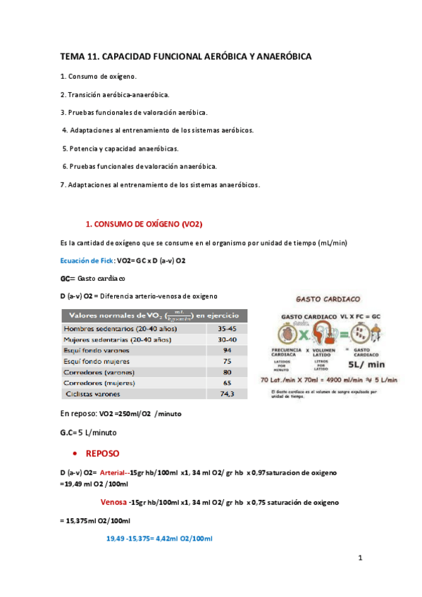 Miniatura del documento TEMA11.pdf